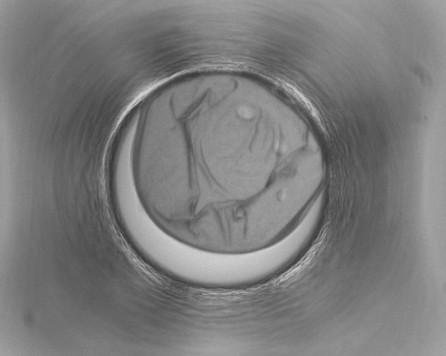 X0000115060981200912071148