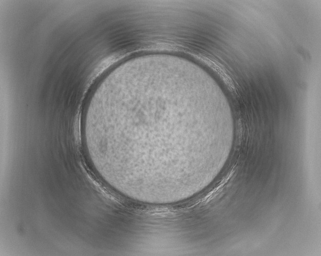 X0000115060982200912071148