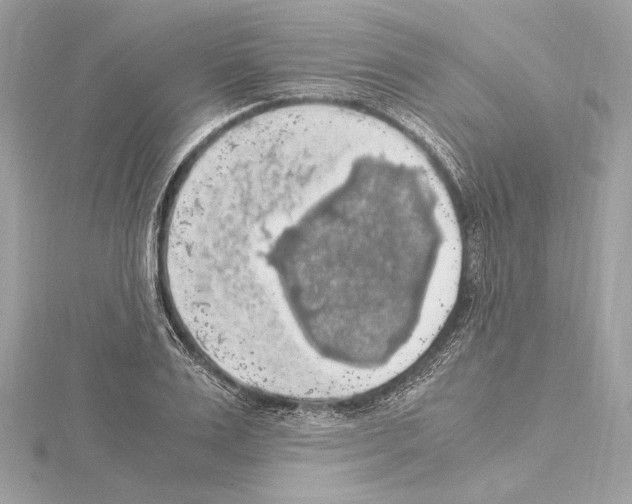 X0000115060983200912071148