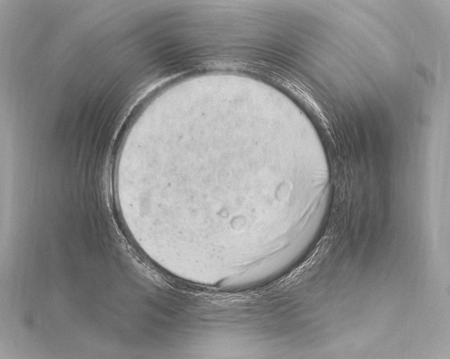 X0000115060984200912071148