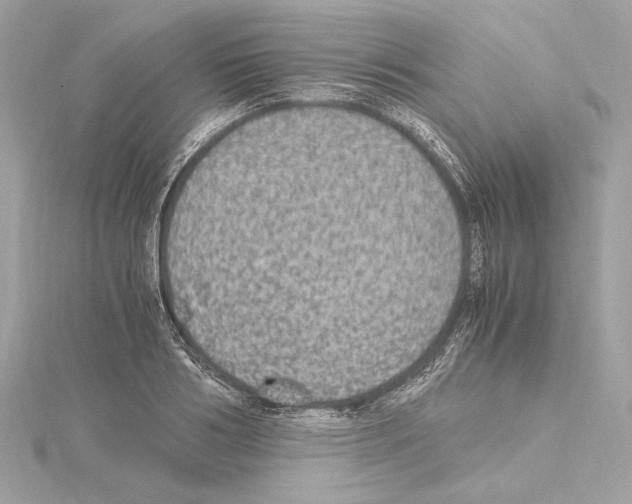 X0000115060986200912071148