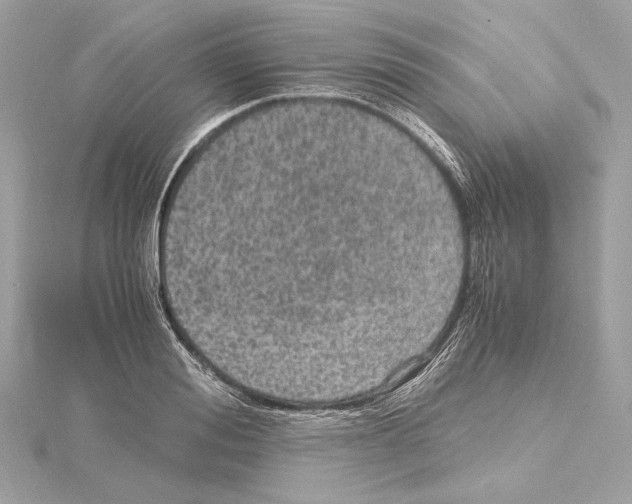 X0000115060988200912071148