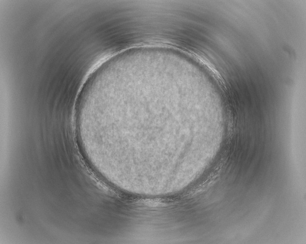 X0000115060990200912071148