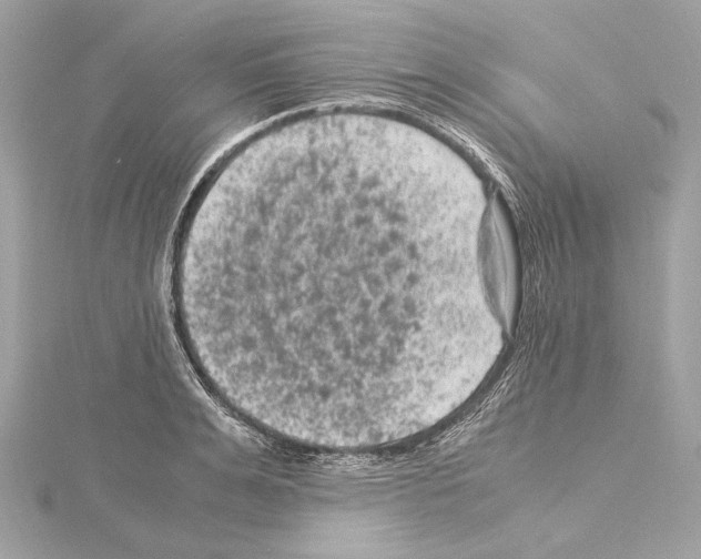 X0000115060991200912071148