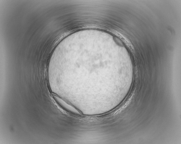 X0000115060993200912071148