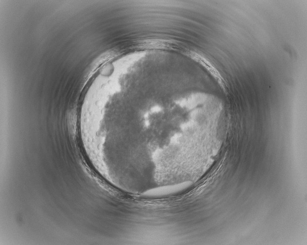 X0000115060994200912071148