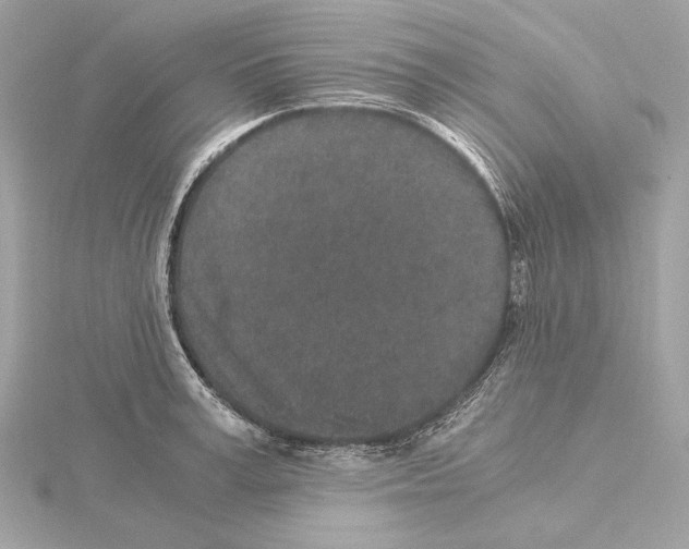 X0000115060995200912071148