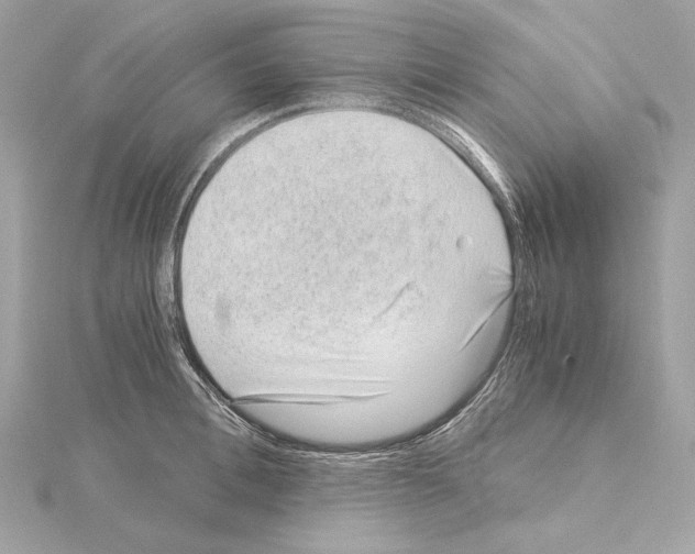 X0000115060996200912071147