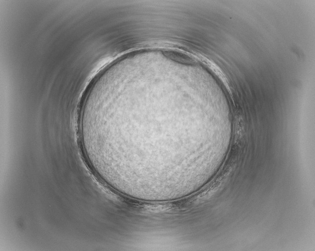 X0000115060997200912071147