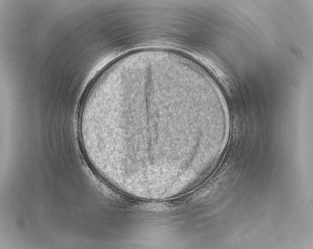 X0000115060998200912071147