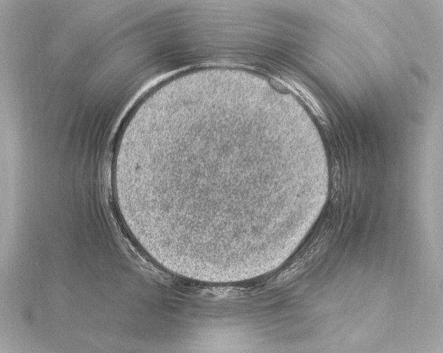 X0000115061000200912071147