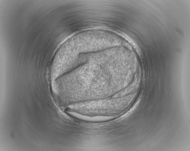 X0000115061001200912071147