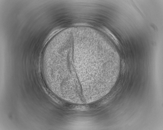 X0000115061002200912071147