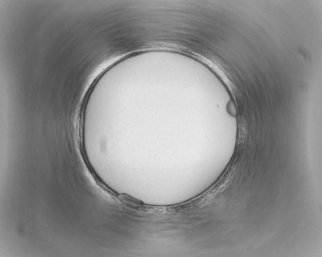 X0000115061003200912071147