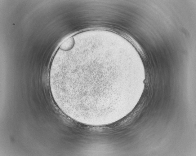 X0000115061004200912071147