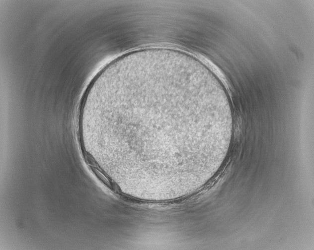 X0000115061005200912071147