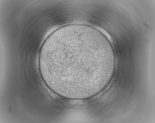 X0000115061006200912071147