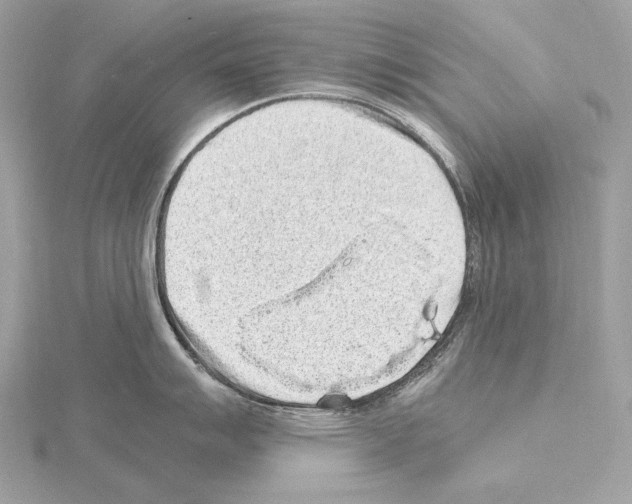 X0000115061007200912071147