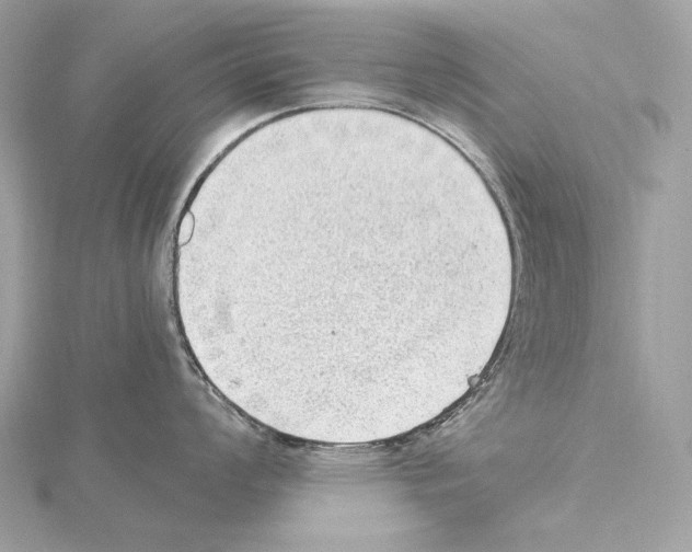 X0000115061008200912071147