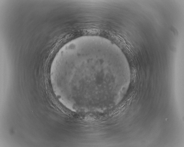 X0000115061009200912071147