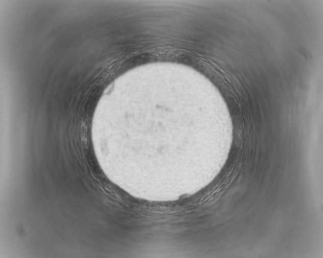 X0000115061010200912071147