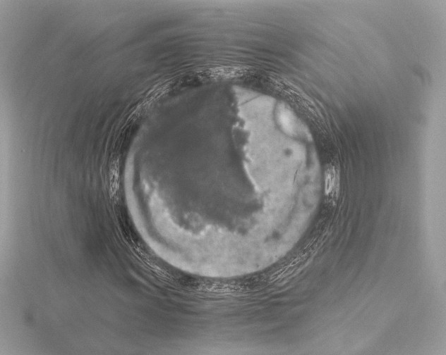 X0000115061011200912071147