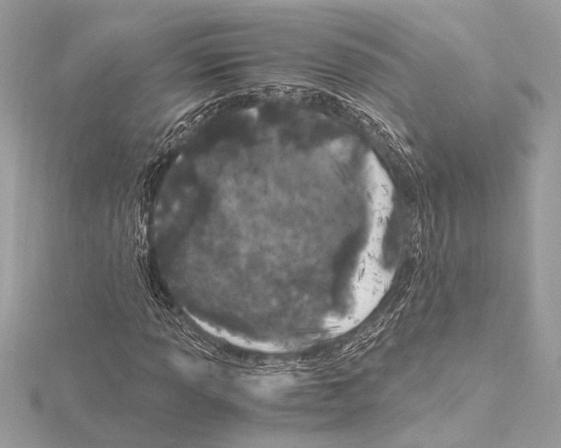 X0000115061013200912071147