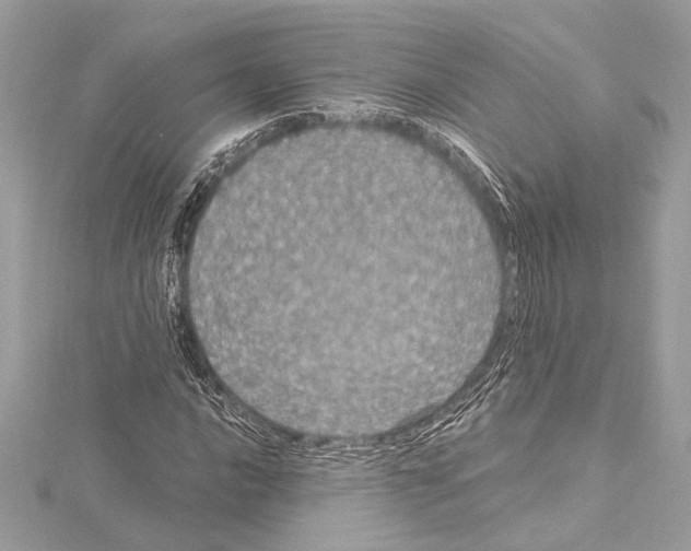 X0000115061016200912071147