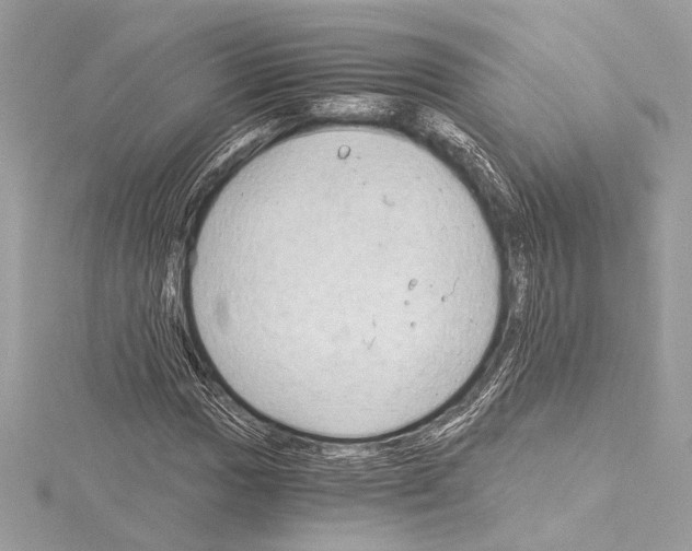 X0000115061017200912071147