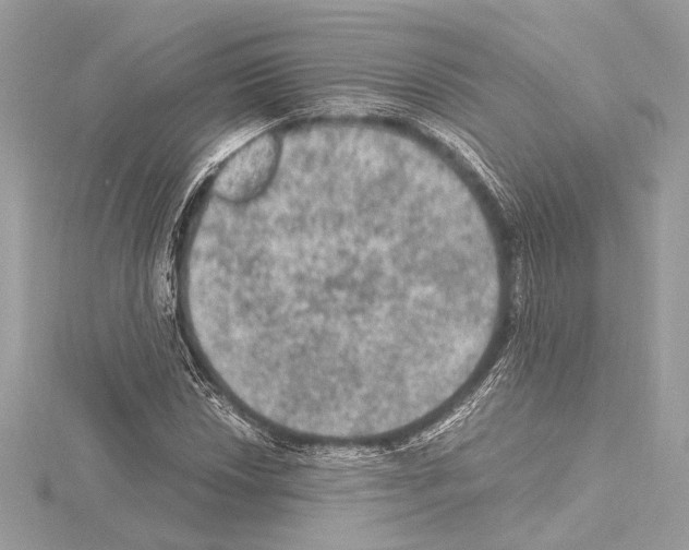 X0000115061018200912071147