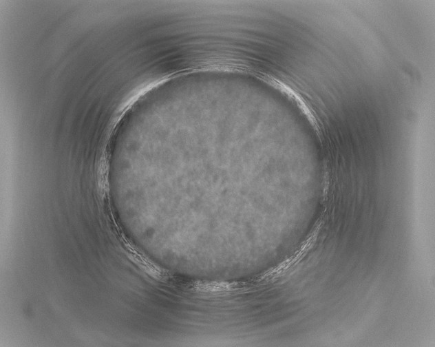 X0000115061019200912071147