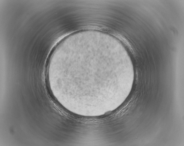 X0000115061020200912071147