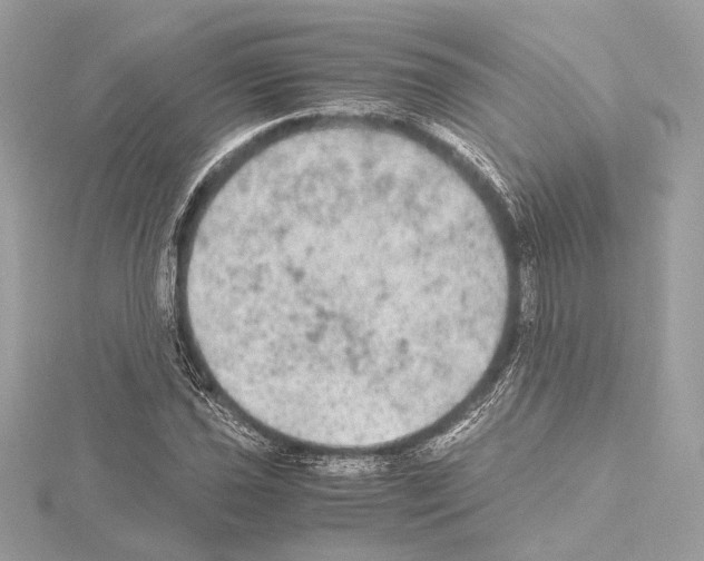 X0000115061021200912071147