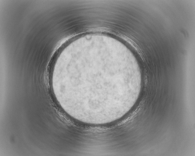 X0000115061022200912071147