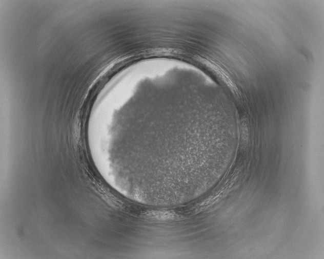 X0000115061023200912071147