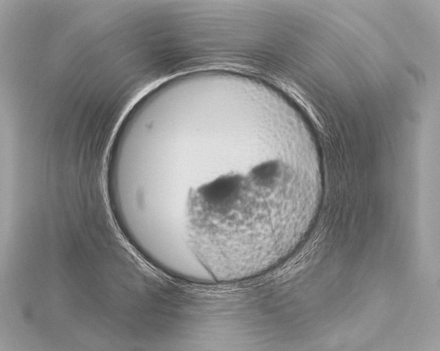 X0000115061024200912071147