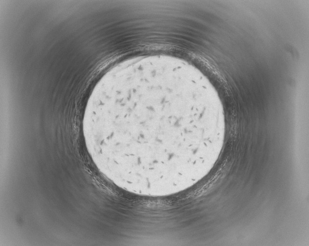 X0000115061025200912071147