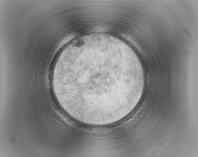 X0000115061026200912071147