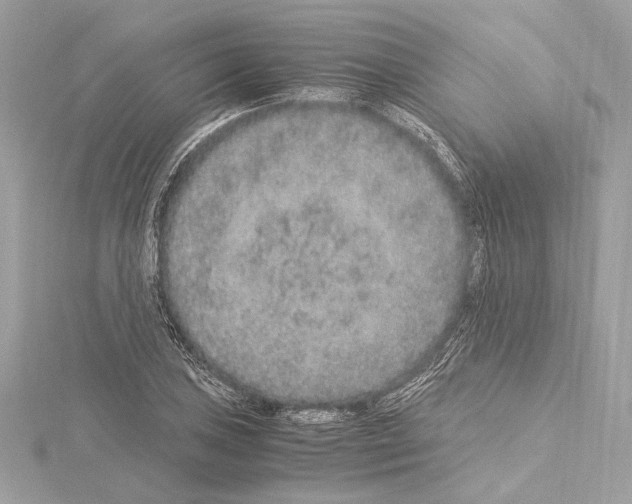 X0000115061027200912071147