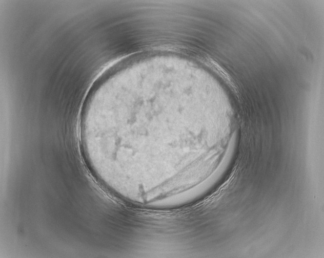 X0000115061028200912071147