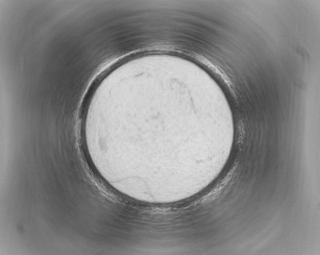 X0000115061029200912071147