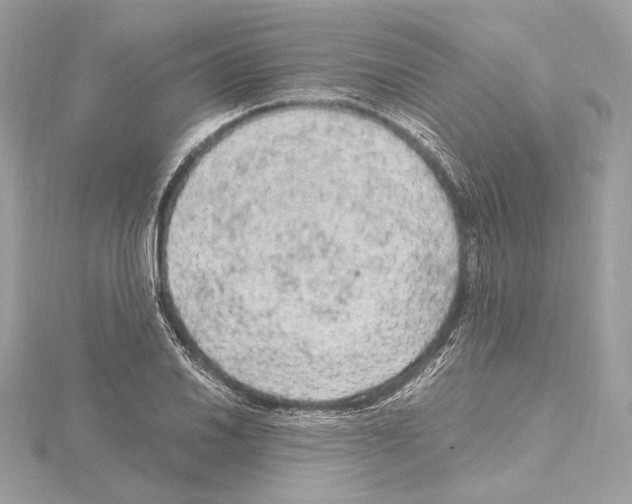 X0000115061030200912071147