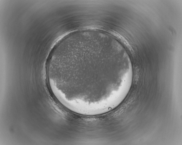 X0000115061031200912071147