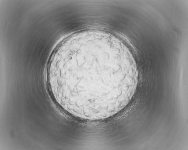 X0000115061032200912071147