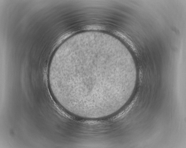 X0000115061033200912071147