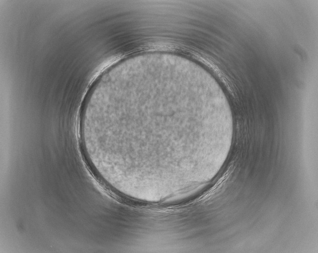 X0000115061034200912071147