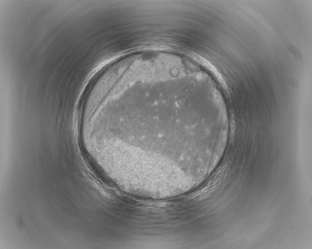 X0000115061035200912071147