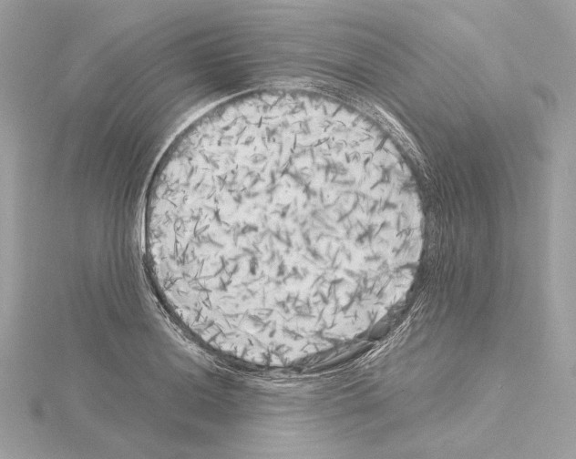 X0000115061036200912071147