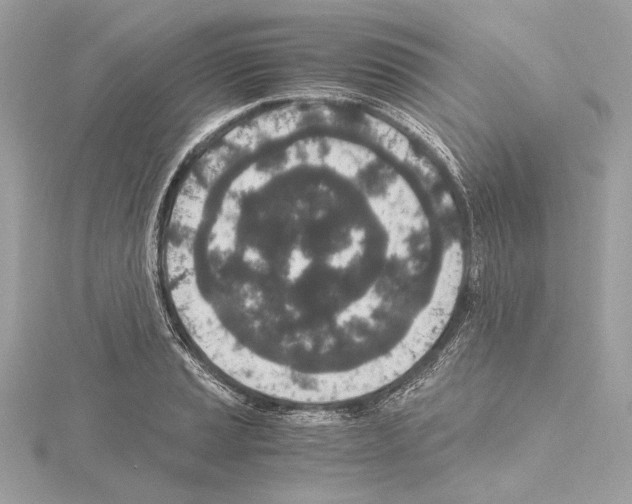 X0000115061037200912071147