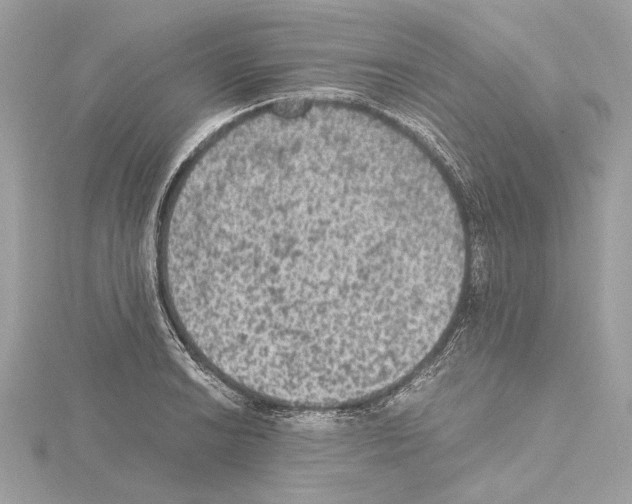 X0000115061038200912071147